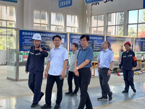 2025年7月27日山東華電集團新能源專家領導考察調研