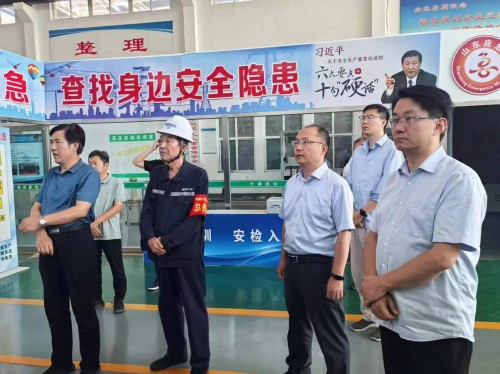 2025年7月27日山東華電集團新能源專家領導考察調研