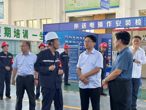 2025年7月27日山東華電集團新能源專家領導考察調研