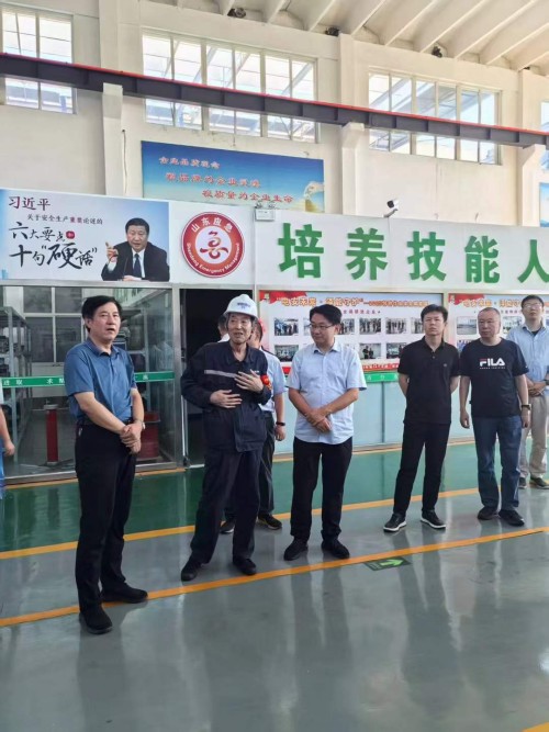 2025年7月27日山東華電集團新能源專家領導考察調研